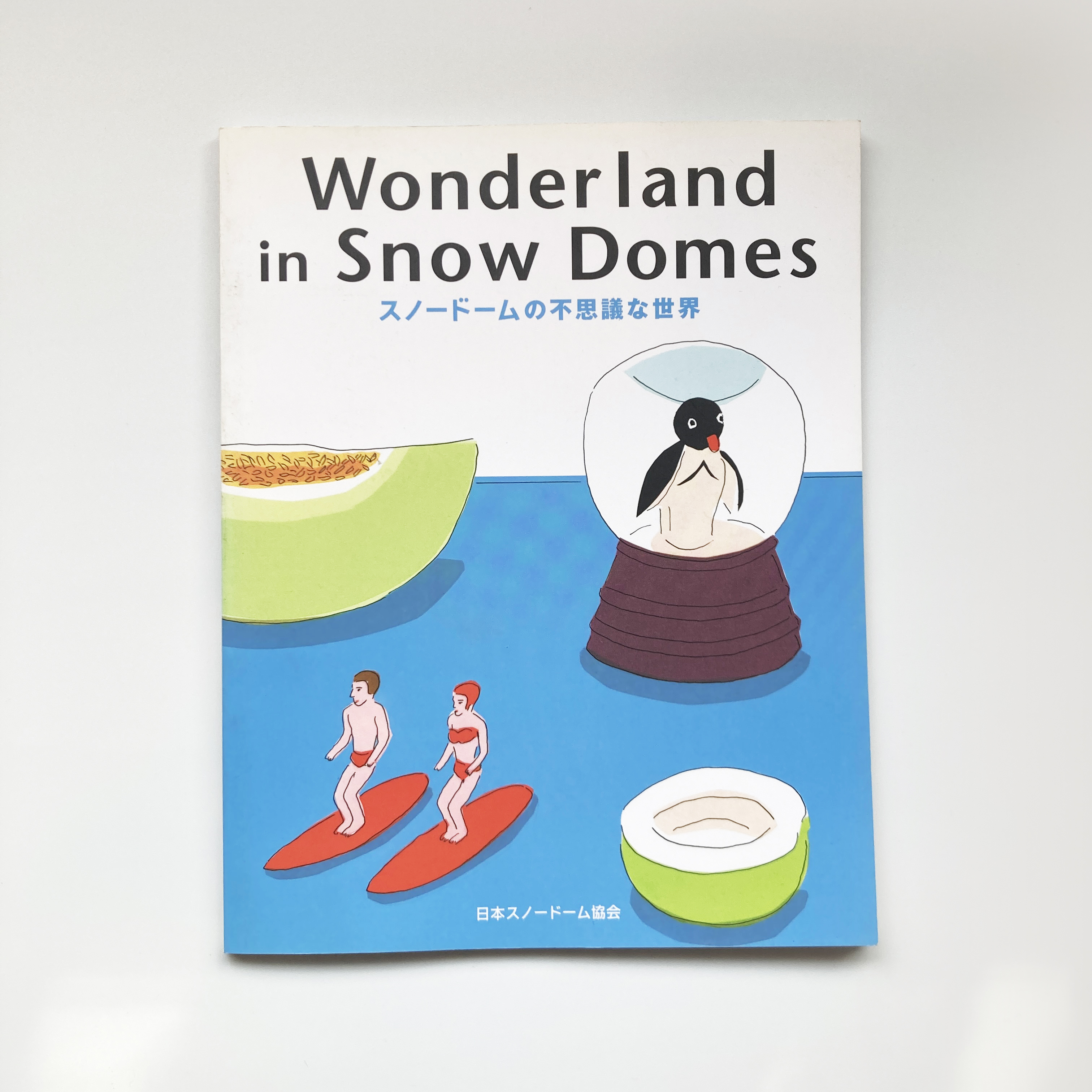 Wonderland in SnowDomes